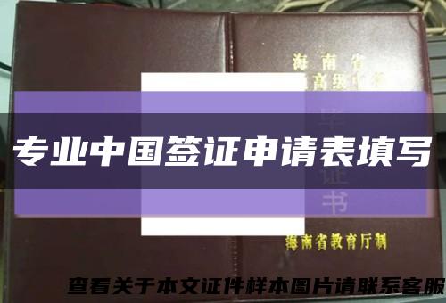 專業中國簽證申請表填寫縮略圖