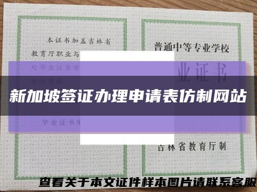 新加坡簽證辦理申請表仿制網站縮略圖
