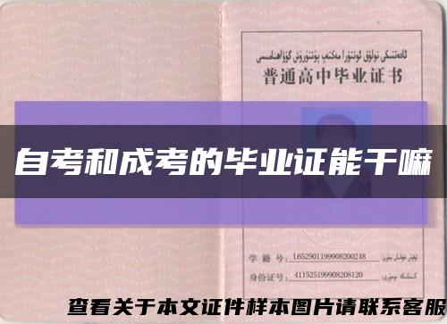 自考和成考的畢業證能干嘛縮略圖