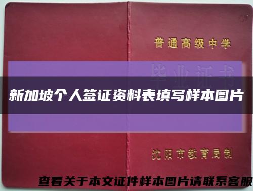 新加坡個人簽證資料表填寫樣本圖片縮略圖