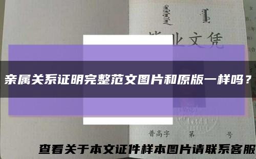 親屬關系證明完整范文圖片和原版一樣嗎？縮略圖