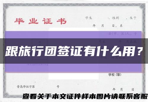 跟旅行團簽證有什么用？縮略圖