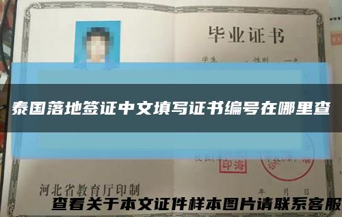 泰國落地簽證中文填寫證書編號在哪里查縮略圖