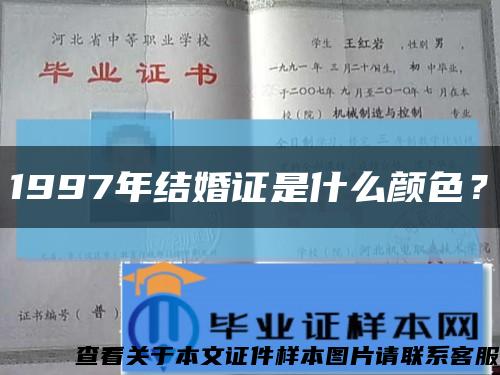 1997年結婚證是什么顏色？縮略圖