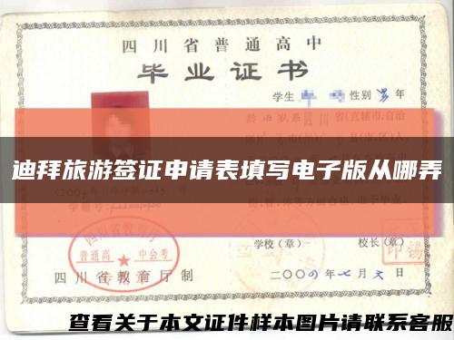 迪拜旅游簽證申請表填寫電子版從哪弄縮略圖