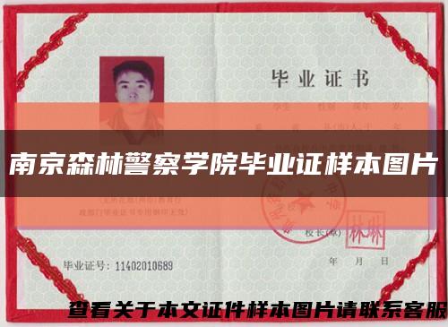 南京森林警察學院畢業證樣本圖片縮略圖