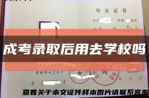 成考錄取后用去學校嗎縮略圖