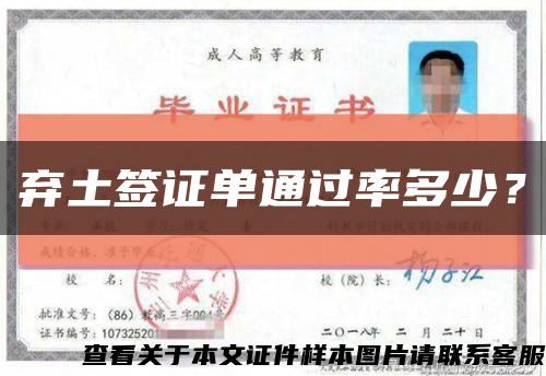 棄土簽證單通過率多少？縮略圖