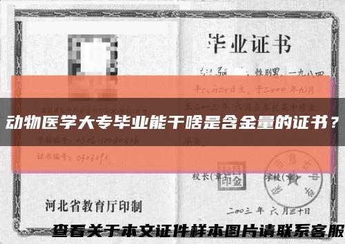 動物醫學大專畢業能干啥是含金量的證書？縮略圖