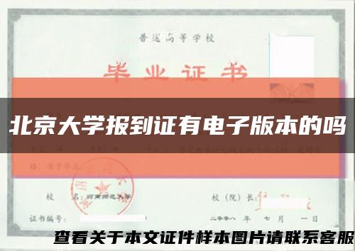北京大學報到證有電子版本的嗎縮略圖