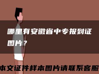 哪里有安徽省中專報到證圖片？縮略圖