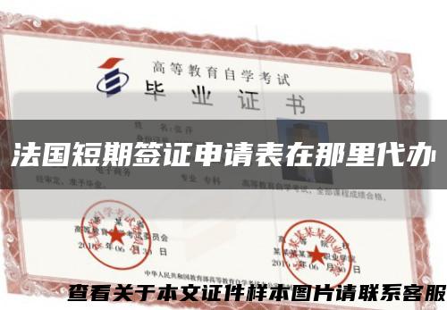 法國短期簽證申請表在那里代辦縮略圖