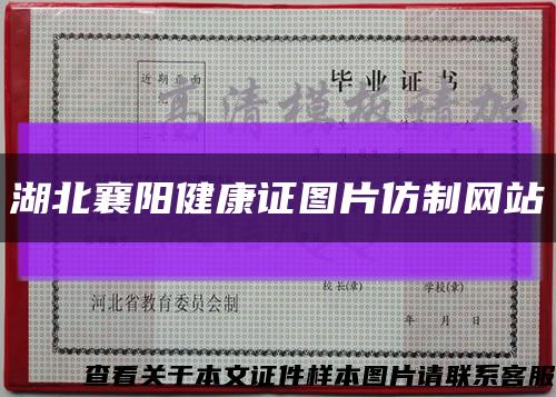 湖北襄陽健康證圖片仿制網站縮略圖