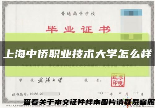 上海中僑職業技術大學怎么樣縮略圖