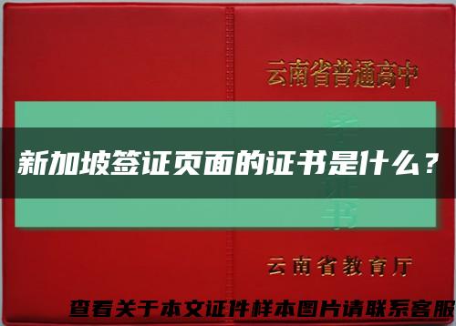 新加坡簽證頁面的證書是什么？縮略圖