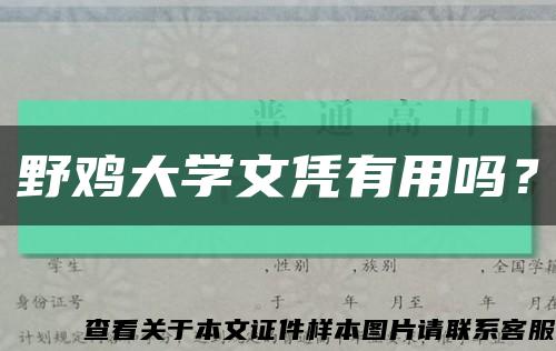 野雞大學文憑有用嗎？縮略圖