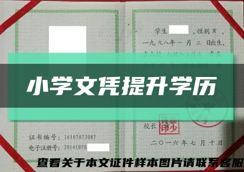 小學文憑提升學歷縮略圖