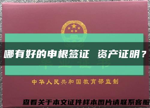 哪有好的申根簽證 資產證明？縮略圖