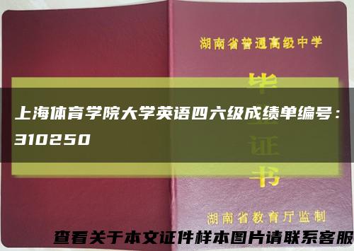 上海體育學院大學英語四六級成績單編號：310250縮略圖