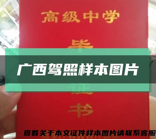 廣西駕照樣本圖片縮略圖