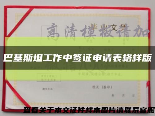 巴基斯坦工作中簽證申請表格樣版縮略圖