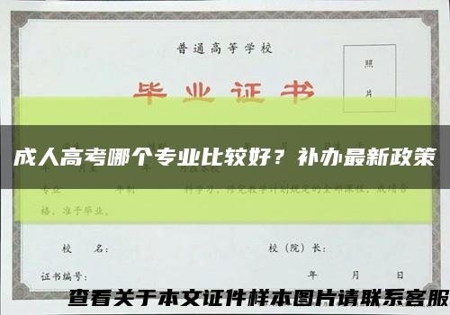 成人高考哪個專業比較好？補辦最新政策縮略圖