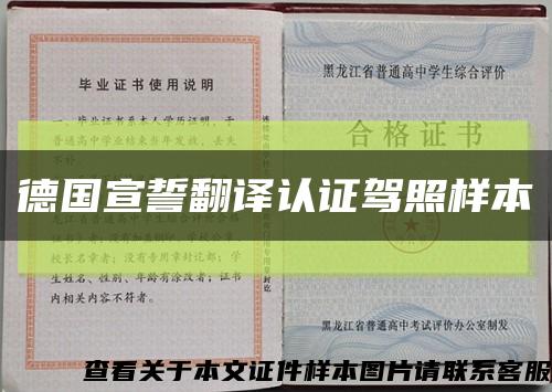 德國宣誓翻譯認證駕照樣本縮略圖