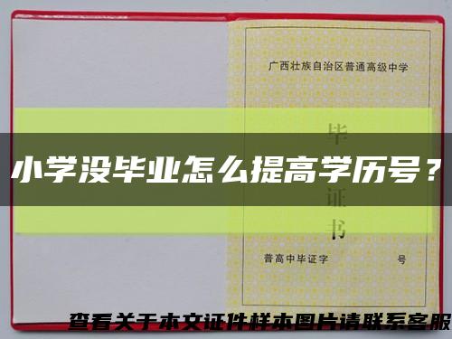 小學沒畢業怎么提高學歷號？縮略圖