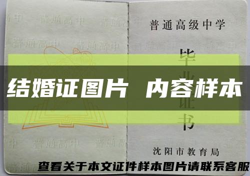 結婚證圖片 內容樣本縮略圖