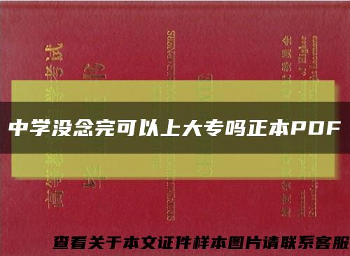 中學沒念完可以上大專嗎正本PDF縮略圖