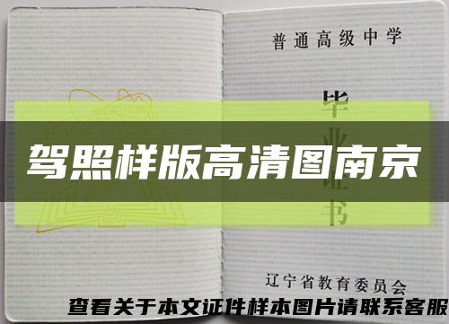 駕照樣版高清圖南京縮略圖