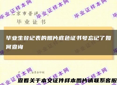 畢業生登記表的照片底色證書號忘記了如何查詢縮略圖