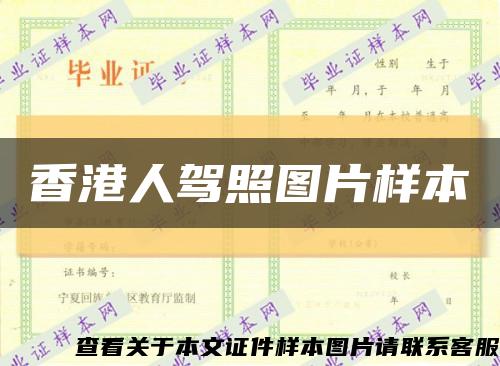 香港人駕照圖片樣本縮略圖