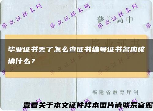 畢業證書丟了怎么查證書編號證書名應該填什么？縮略圖