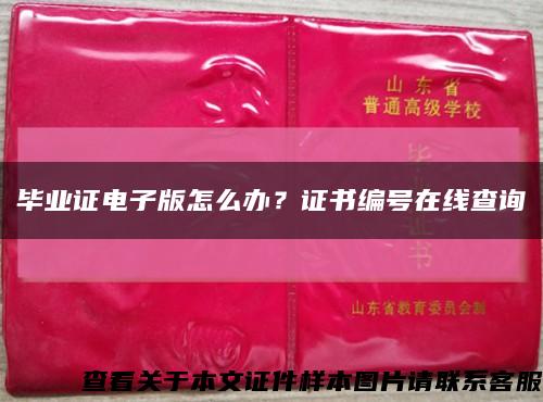 畢業證電子版怎么辦？證書編號在線查詢縮略圖