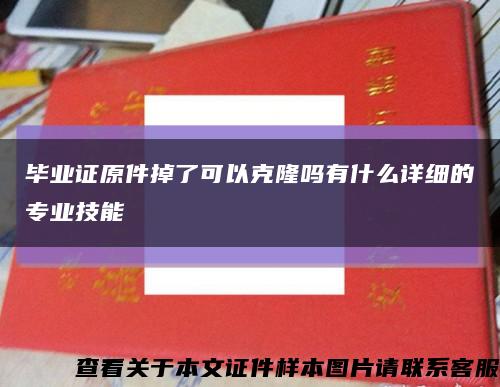 畢業證原件掉了可以克隆嗎有什么詳細的專業技能縮略圖