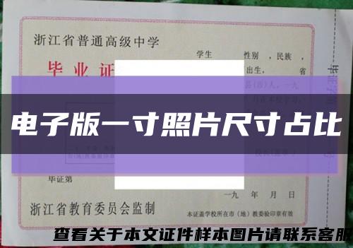 電子版一寸照片尺寸占比縮略圖