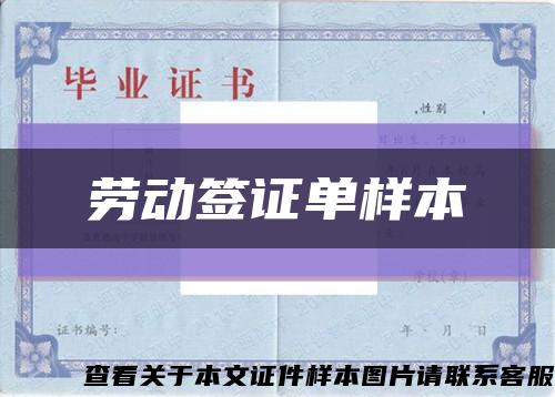 勞動簽證單樣本縮略圖