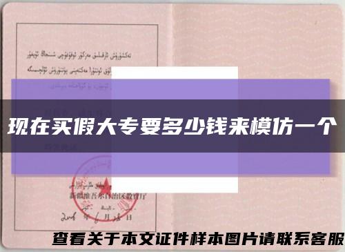 現在買假大專要多少錢來模仿一個縮略圖