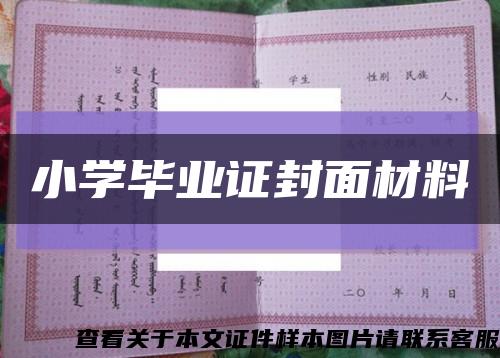 小學畢業證封面材料縮略圖