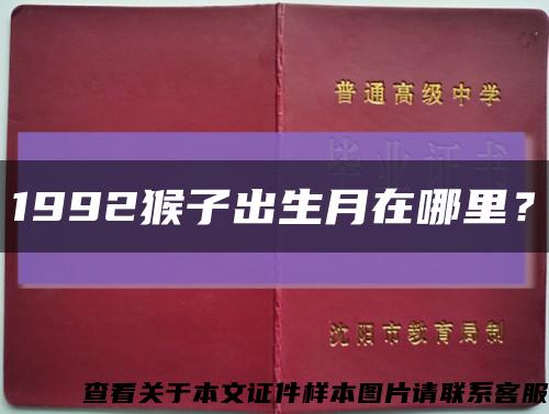 1992猴子出生月在哪里？縮略圖