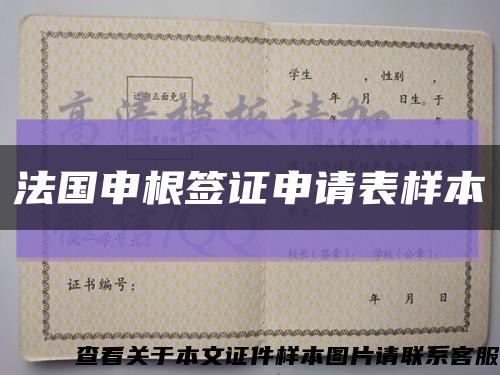 法國申根簽證申請表樣本縮略圖