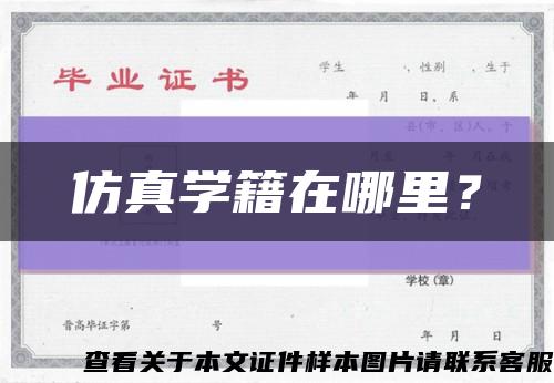 仿真學籍在哪里？縮略圖