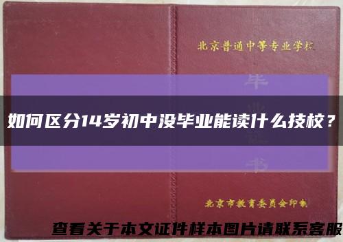 如何區分14歲初中沒畢業能讀什么技校？縮略圖