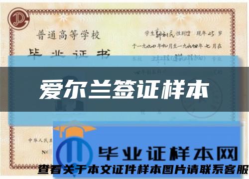 愛爾蘭簽證樣本縮略圖