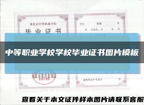 中等職業學校學校畢業證書圖片模板縮略圖