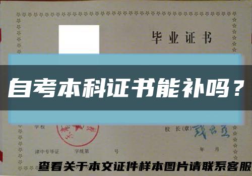 自考本科證書能補嗎？縮略圖