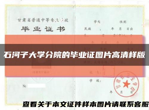 石河子大學分院的畢業證圖片高清樣版縮略圖