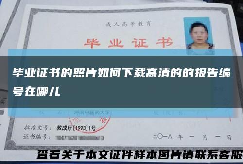 畢業證書的照片如何下載高清的的報告編號在哪兒縮略圖