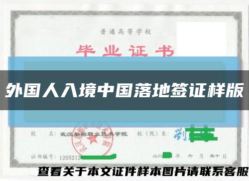 外國人入境中國落地簽證樣版縮略圖